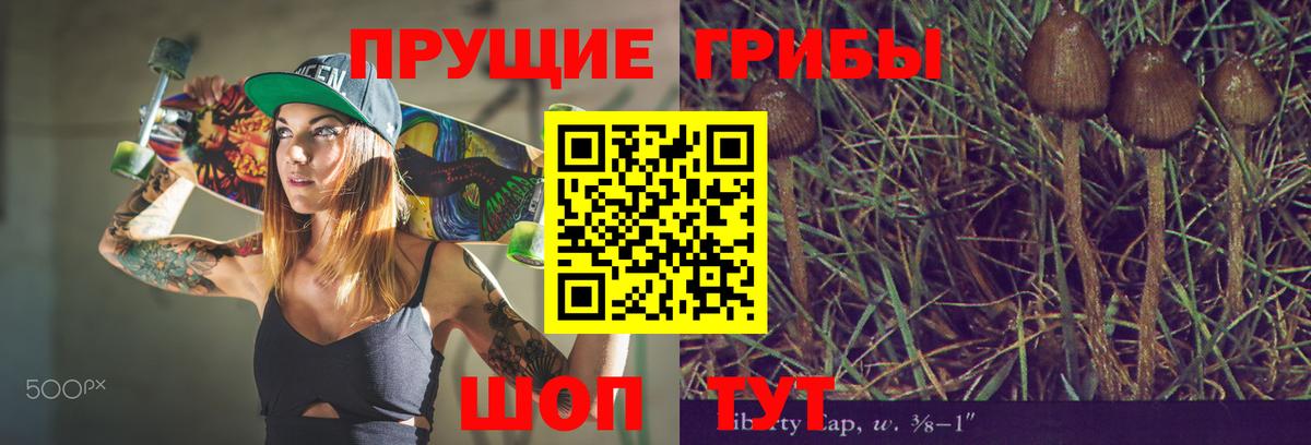 Ялуторовск  Галлюциногенные грибы GOLDEN TEACHER  Вход с VPN 
